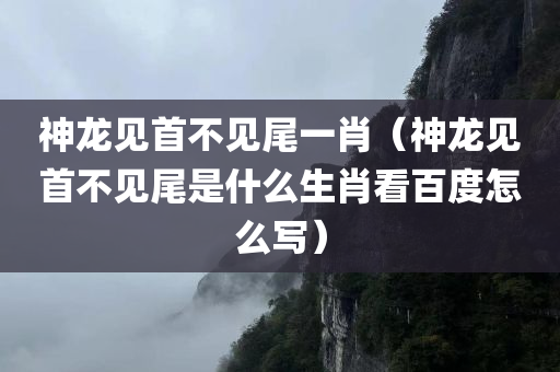 神龙见首不见尾一肖（神龙见首不见尾是什么生肖看百度怎么写）