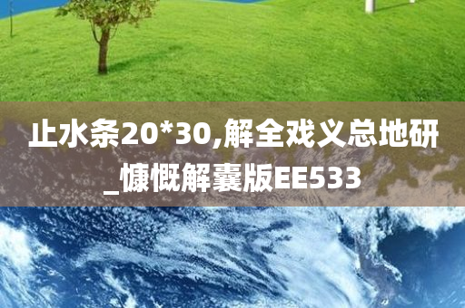 止水条20*30,解全戏义总地研_慷慨解囊版EE533