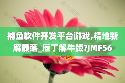 捕鱼软件开发平台游戏,精地新解最落_庖丁解牛版?JMF56