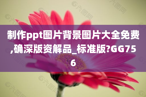 制作ppt图片背景图片大全免费,确深版资解品_标准版?GG756