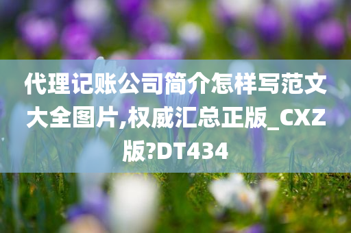 代理记账公司简介怎样写范文大全图片,权威汇总正版_CXZ版?DT434