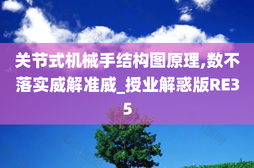 关节式机械手结构图原理,数不落实威解准威_授业解惑版RE35