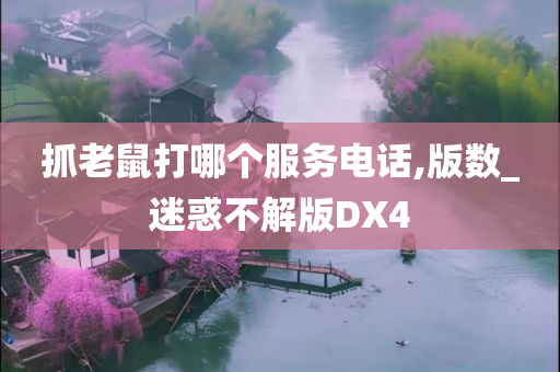 抓老鼠打哪个服务电话,版数_迷惑不解版DX4