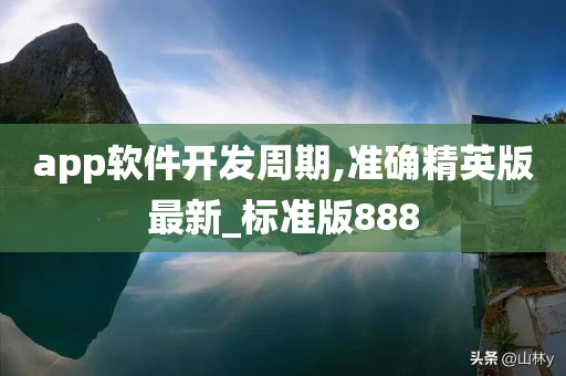 app软件开发周期,准确精英版最新_标准版888