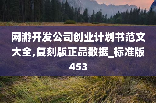 网游开发公司创业计划书范文大全,复刻版正品数据_标准版453