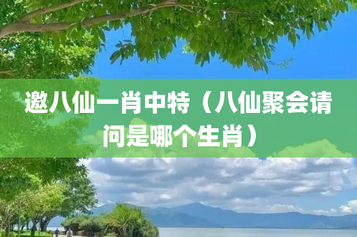 邀八仙一肖中特（八仙聚会请问是哪个生肖）