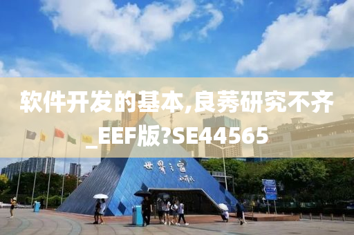 软件开发的基本,良莠研究不齐_EEF版?SE44565