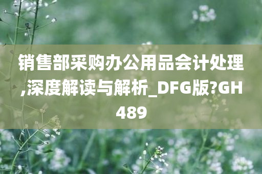 销售部采购办公用品会计处理,深度解读与解析_DFG版?GH489