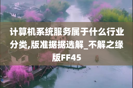 计算机系统服务属于什么行业分类,版准据据选解_不解之缘版FF45