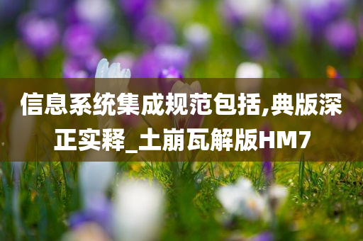 信息系统集成规范包括,典版深正实释_土崩瓦解版HM7