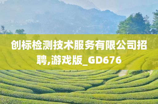 创标检测技术服务有限公司招聘,游戏版_GD676