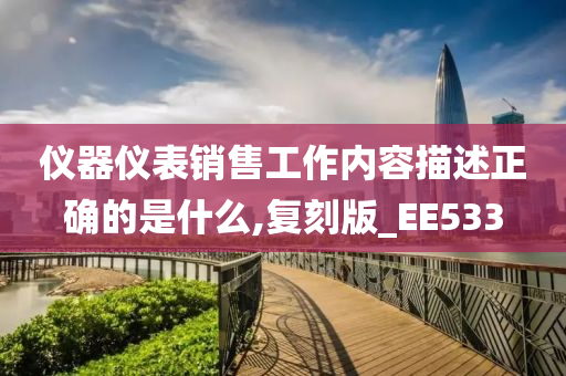 仪器仪表销售工作内容描述正确的是什么,复刻版_EE533