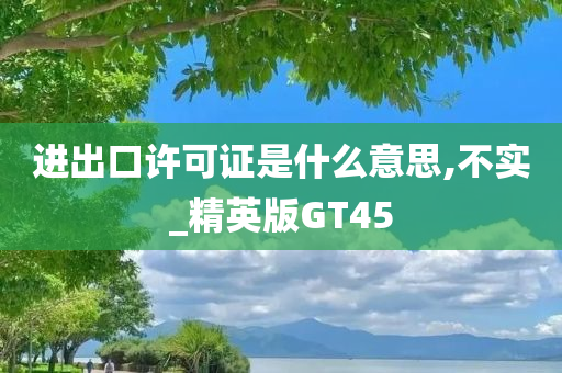 进出口许可证是什么意思,不实_精英版GT45