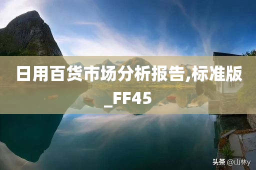 日用百货市场分析报告,标准版_FF45