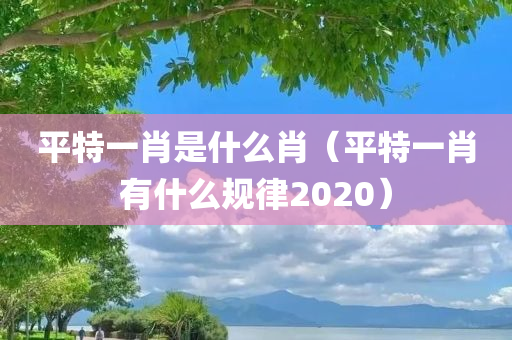 平特一肖是什么肖（平特一肖有什么规律2020）