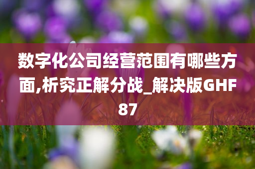 数字化公司经营范围有哪些方面,析究正解分战_解决版GHF87