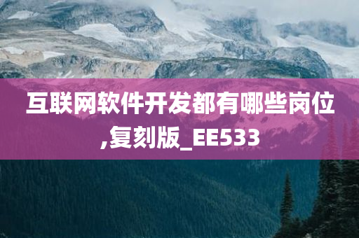 互联网软件开发都有哪些岗位,复刻版_EE533