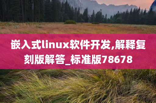 嵌入式linux软件开发,解释复刻版解答_标准版78678