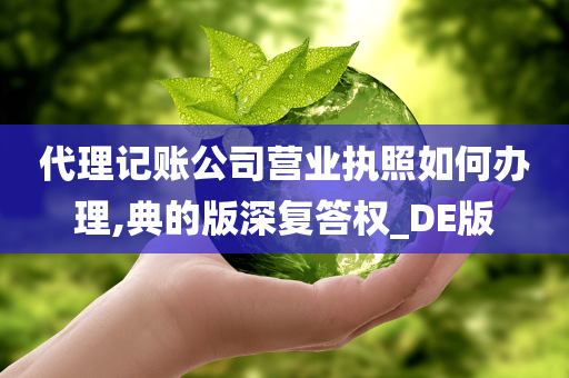 代理记账公司营业执照如何办理,典的版深复答权_DE版