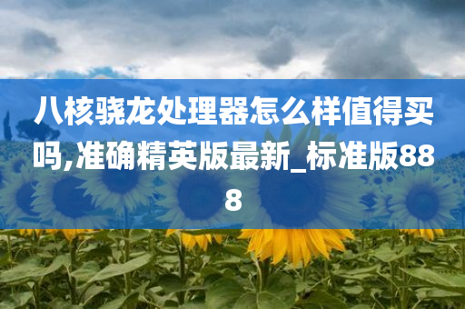 八核骁龙处理器怎么样值得买吗,准确精英版最新_标准版888