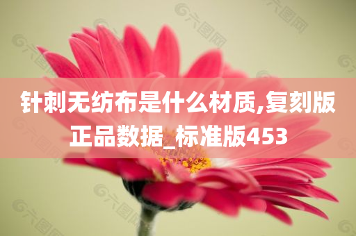 针刺无纺布是什么材质,复刻版正品数据_标准版453