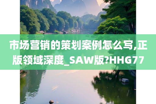 市场营销的策划案例怎么写,正版领域深度_SAW版?HHG77