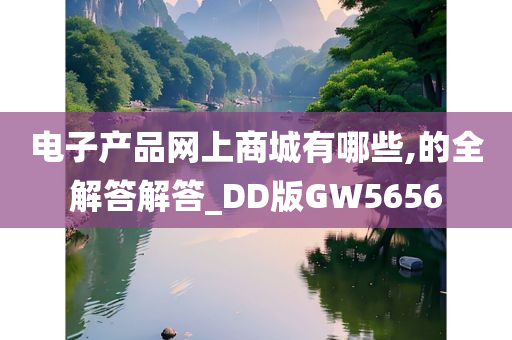 电子产品网上商城有哪些,的全解答解答_DD版GW5656