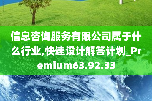 信息咨询服务有限公司属于什么行业,快速设计解答计划_Premium63.92.33