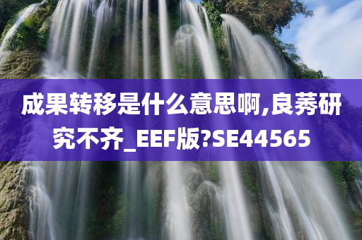 成果转移是什么意思啊,良莠研究不齐_EEF版?SE44565