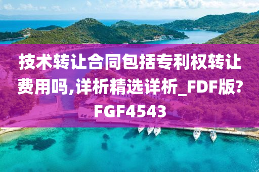 技术转让合同包括专利权转让费用吗,详析精选详析_FDF版?FGF4543