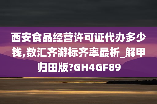 西安食品经营许可证代办多少钱,数汇齐游标齐率最析_解甲归田版?GH4GF89