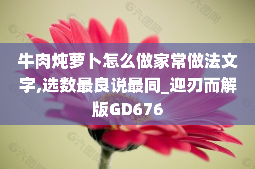 牛肉炖萝卜怎么做家常做法文字,选数最良说最同_迎刃而解版GD676