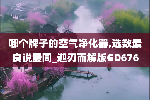 哪个牌子的空气净化器,选数最良说最同_迎刃而解版GD676