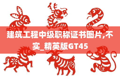 建筑工程中级职称证书图片,不实_精英版GT45