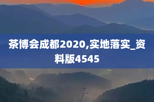 茶博会成都2020,实地落实_资料版4545