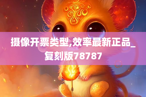 摄像开票类型,效率最新正品_复刻版78787