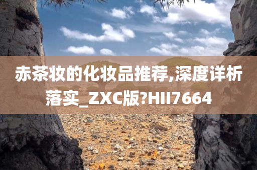 赤茶妆的化妆品推荐,深度详析落实_ZXC版?HII7664