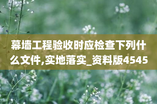 幕墙工程验收时应检查下列什么文件,实地落实_资料版4545