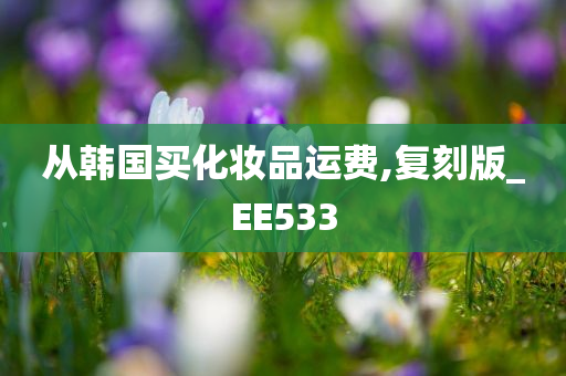 从韩国买化妆品运费,复刻版_EE533