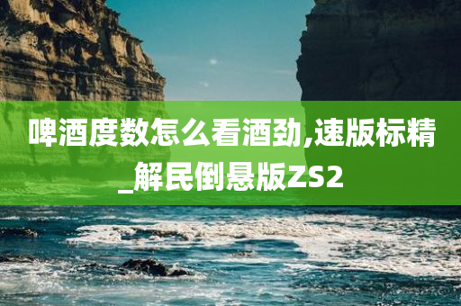 啤酒度数怎么看酒劲,速版标精_解民倒悬版ZS2