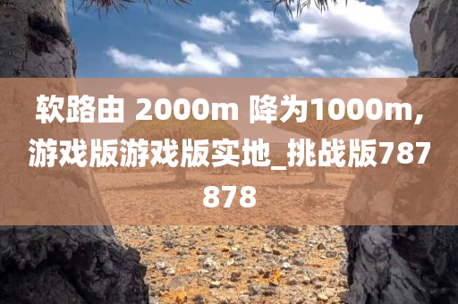 软路由 2000m 降为1000m,游戏版游戏版实地_挑战版787878