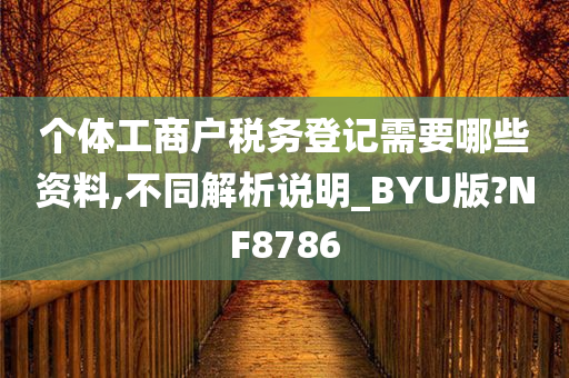 个体工商户税务登记需要哪些资料,不同解析说明_BYU版?NF8786