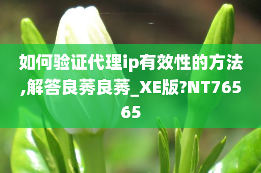 如何验证代理ip有效性的方法,解答良莠良莠_XE版?NT76565