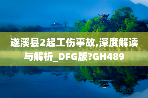 遂溪县2起工伤事故,深度解读与解析_DFG版?GH489