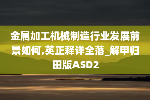 金属加工机械制造行业发展前景如何,英正释详全落_解甲归田版ASD2