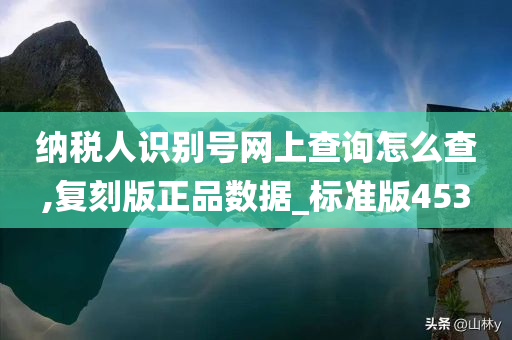 纳税人识别号网上查询怎么查,复刻版正品数据_标准版453