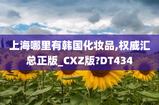 上海哪里有韩国化妆品,权威汇总正版_CXZ版?DT434