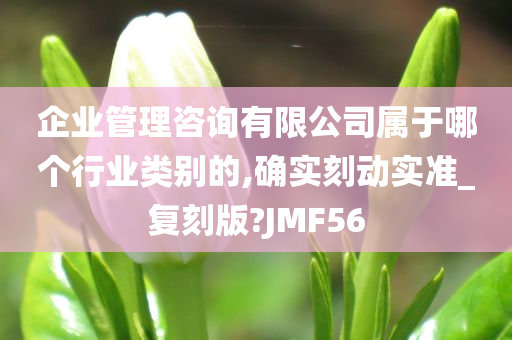 企业管理咨询有限公司属于哪个行业类别的,确实刻动实准_复刻版?JMF56