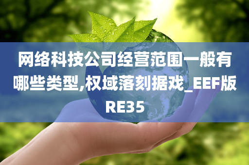 网络科技公司经营范围一般有哪些类型,权域落刻据戏_EEF版RE35