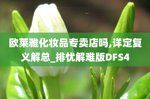 欧莱雅化妆品专卖店吗,详定复义解总_排忧解难版DFS4